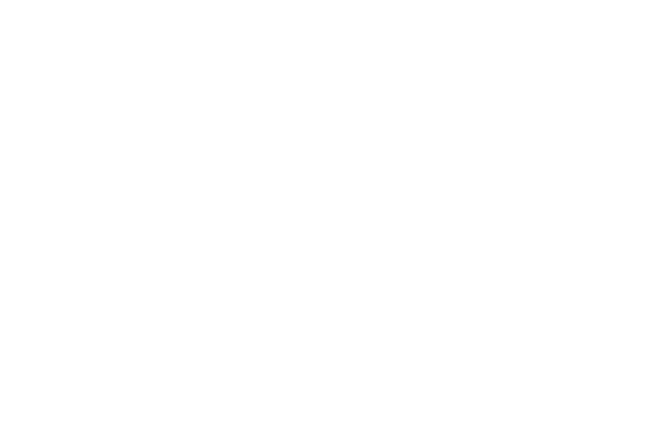 Fournir au participant une vision globale tant strat gique qu’op rationnelle du devenir et du fonctionnement de l’ent...