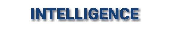 INTELLIGENCE