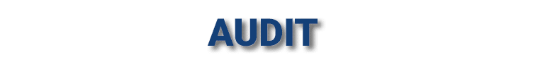 AUDIT