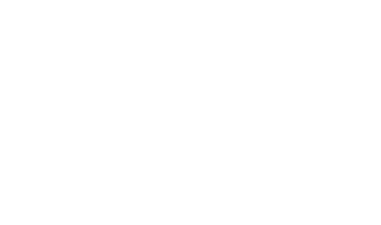 International Finance R glementation financi re et fiscale Macro conomie approfondie Econom trie Financi re Analyse A...