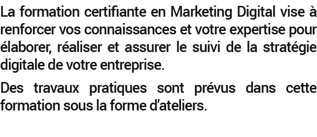 La formation certifiante en Marketing Digital vise  renforcer vos connaissances et votre expertise pour  laborer, r ...