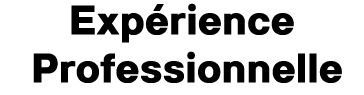 Exp rience Professionnelle