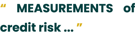 “ MEASUREMENTS of credit risk ... ”