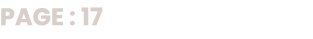PAGE : 17