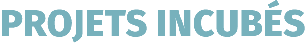 projets Incub s