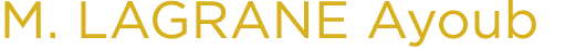 M. LAGRANE Ayoub 