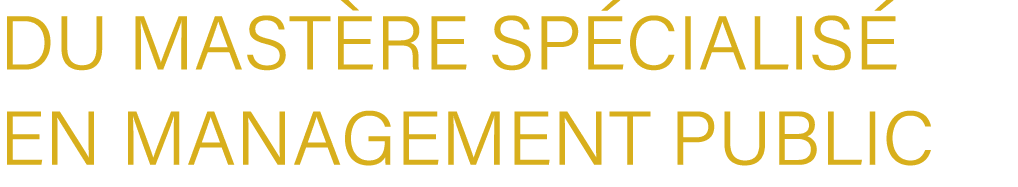 Du Mast re Sp cialis en Management Public
