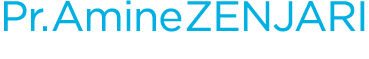 Pr. Amine ZENJARI 