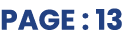 PAGE : 13